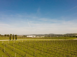 Villa with swimming pool and with privileged view of the Castle of Montemor-o-Novo 1854020205