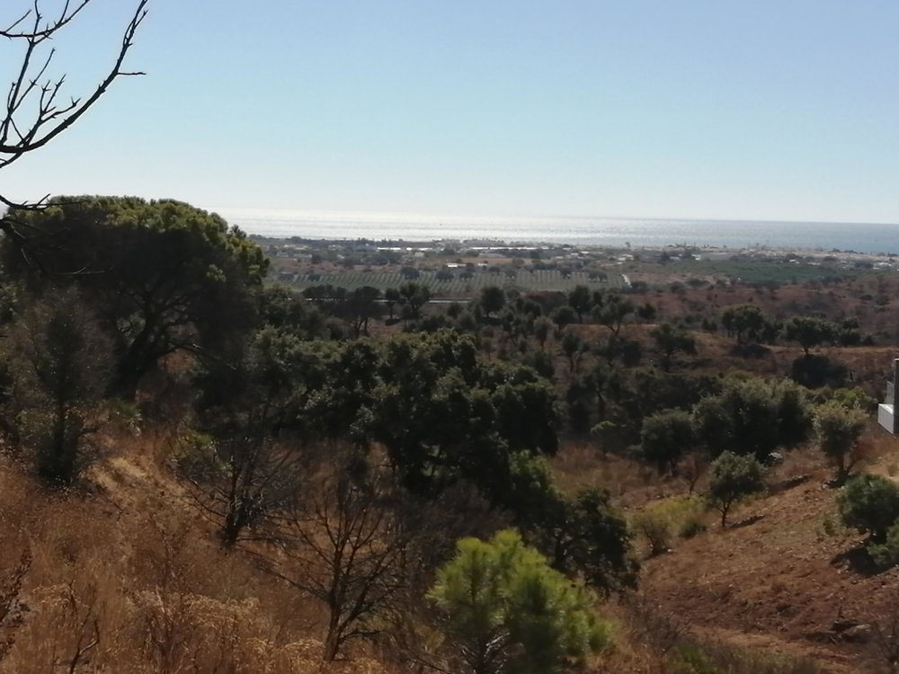 Terreno para construção de moradia, Monte Rei Golf, Algarve 1246876611