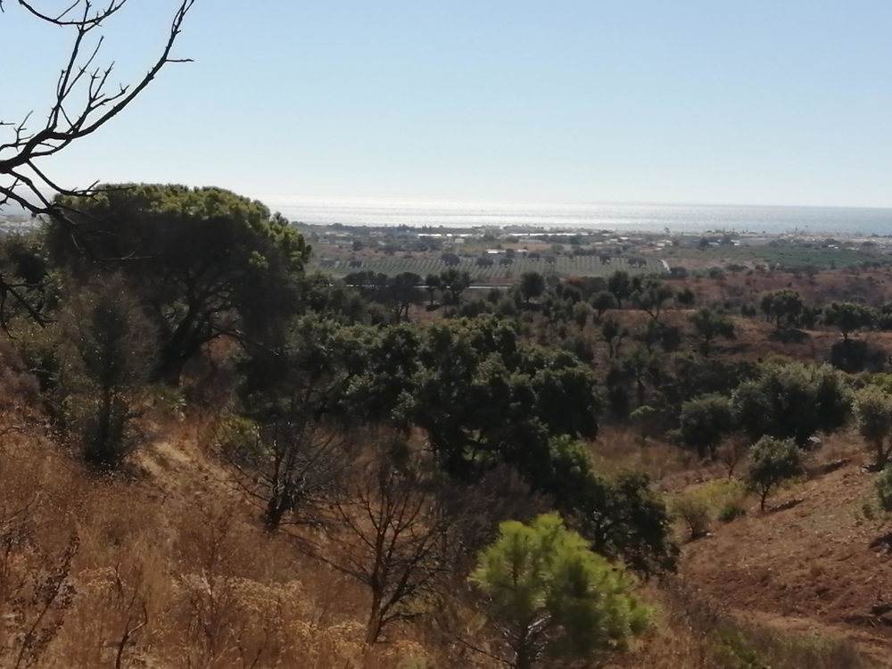 Terreno para construção de moradia, Monte Rei Golf, Algarve 1246876611