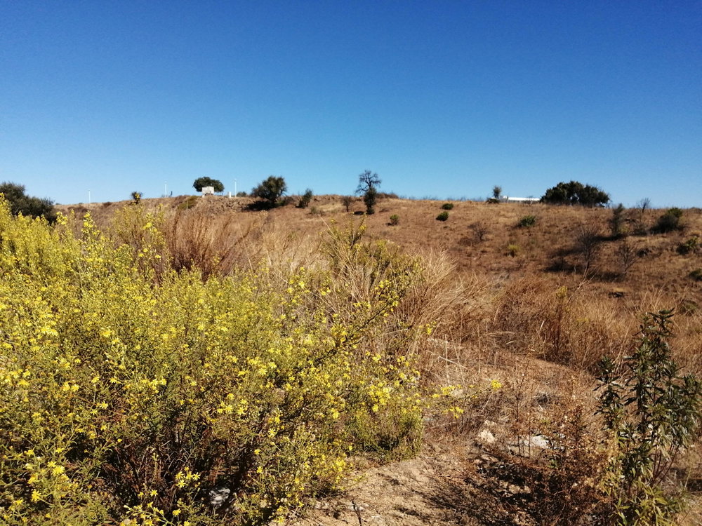 Terreno para construção de moradia, Monte Rei Golf, Algarve 1246876611