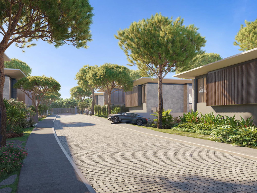 4 bedroom villa with pool and garden in Birre 616870627