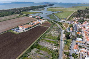 Apartment 1 Bedroom, Duplex, Almalusa Comporta 2656133545