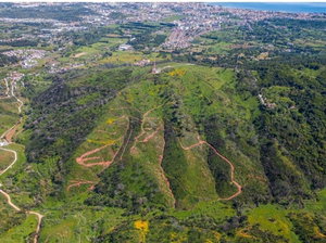 Land in Azeitão with approved project 4250442946
