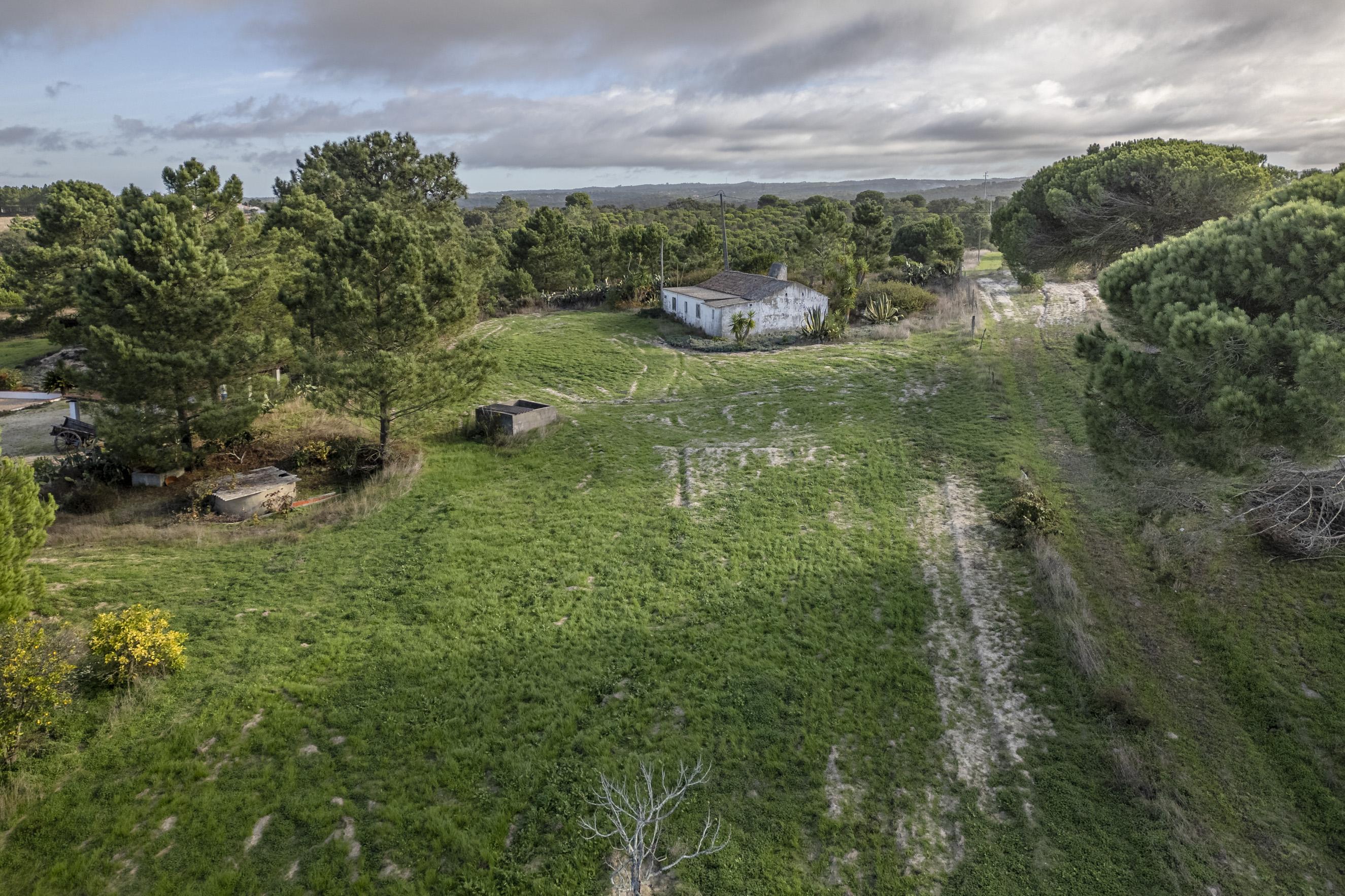Farm with 4000m2 of plot and ruin in Melides