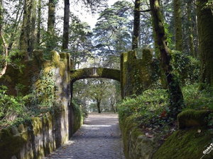 Urban land 3066 m², with centenary ruin and monuments view, in Sintra 3483868519