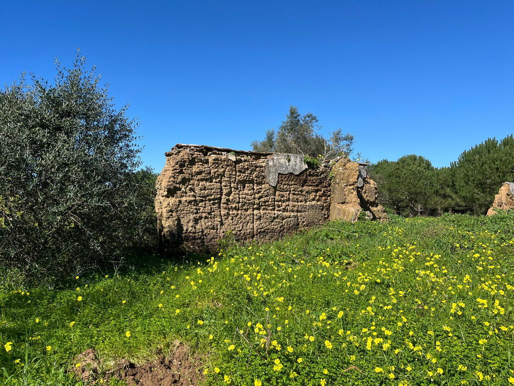 Land with PIP, Sobreiras Altas, Melides 2148469133