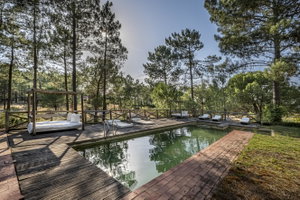 House 6 Bedrooms, Montalvo, Alcácer do Sal 322170250