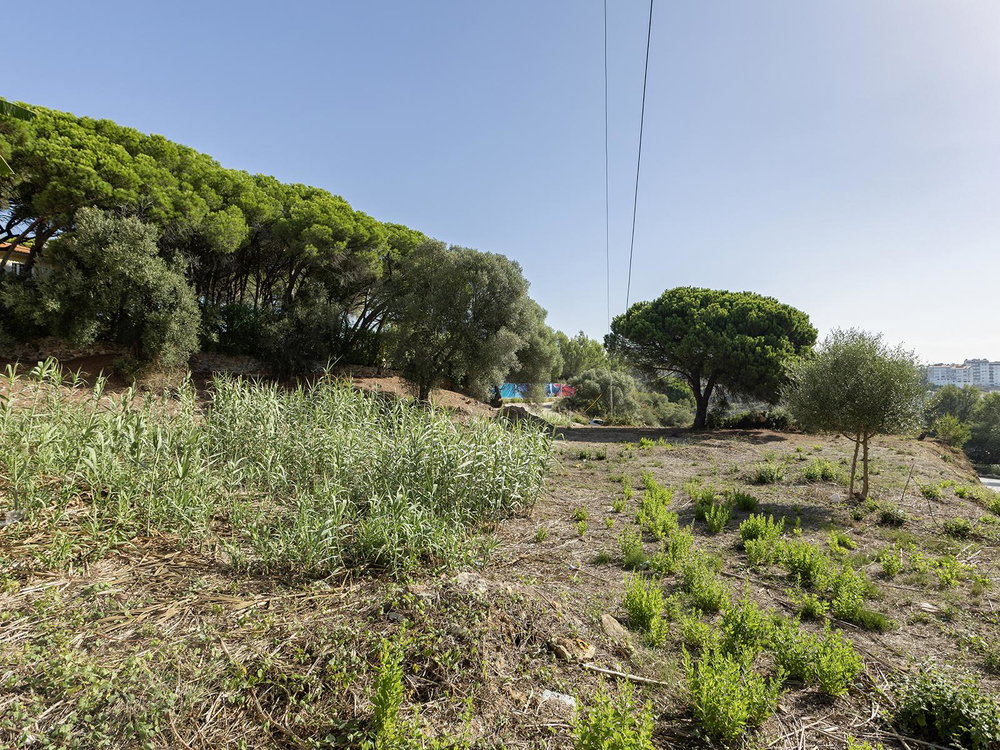 Cascais Urban Land, 1321 m² with project in approval