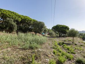Cascais Urban Land, 1321 m² with project in approval