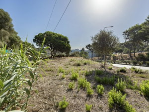 Cascais Urban Land, 1321 m² with project in approval