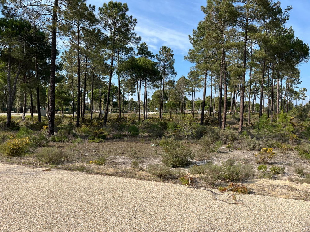 Plot of land in a new development in Muda, Grândola
