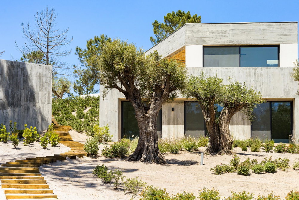 Luxury 4-bedroom villa with garden and swimming pool in the heart of Carvalhal 355225683