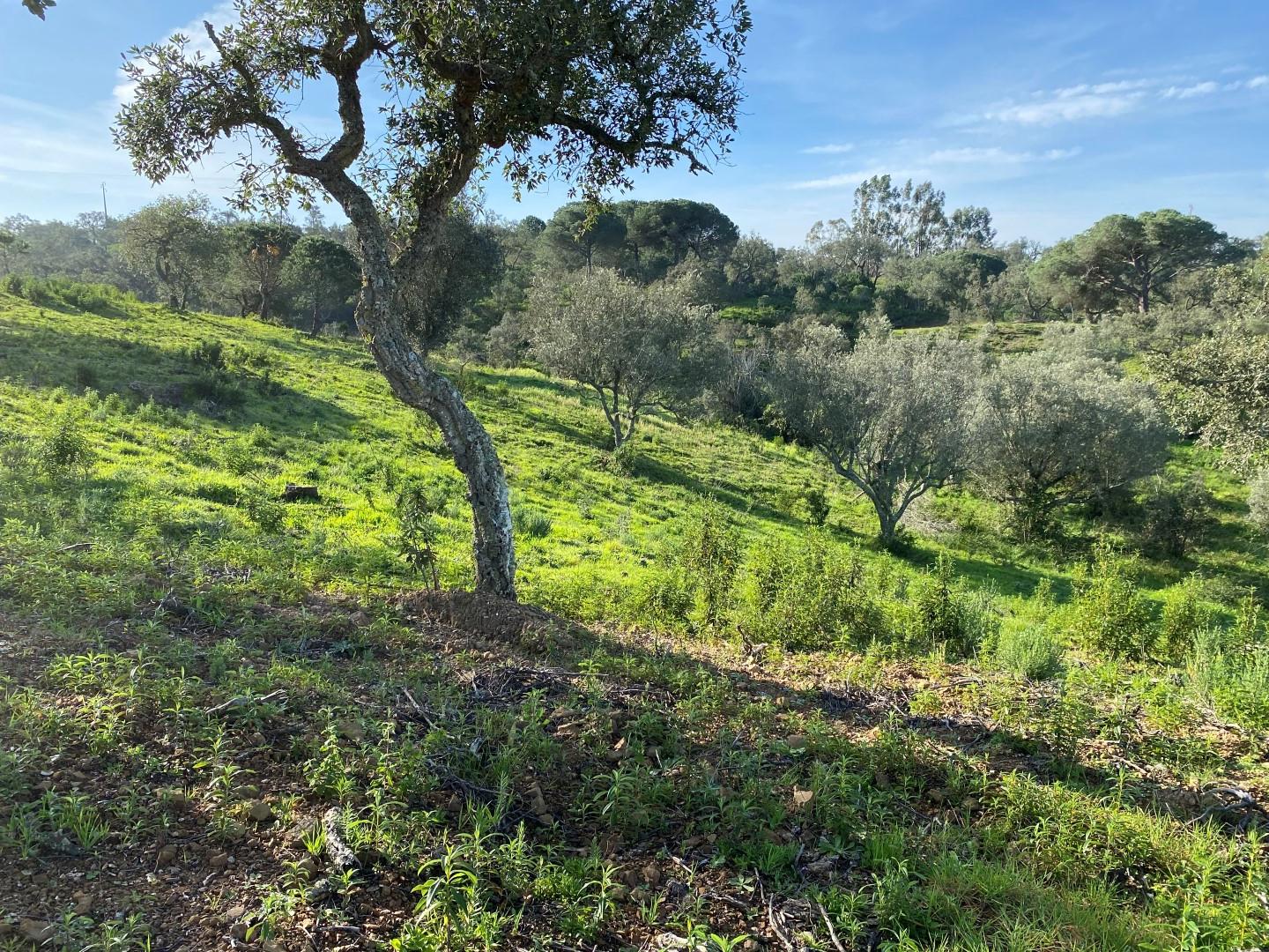 Extraordinary Land Plot With Approved Project Melides Comporta