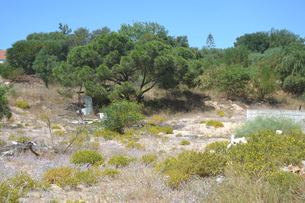 FANTASTIC, LAND PLOT FOR VILLA CONSTRUCTION, TRÓIA 1693897171