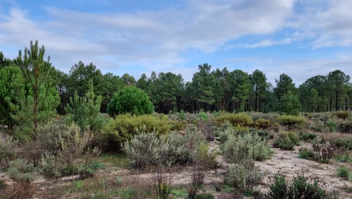 Exclusive Estate – Muda Reserve 871789087