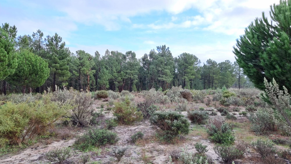 Exclusive Estate – Muda Reserve 871789087