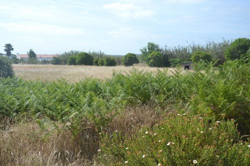 Wonderful, Land Plot for Villa Construction, Brejos de Baixo, Comporta 1003034830