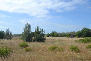 Wonderful, Land Plot for Villa Construction, Brejos de Baixo, Comporta 1003034830