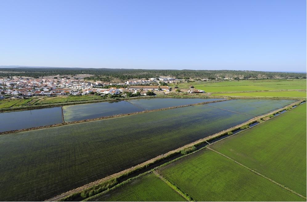 Prime, Land Plot, Carvalhal, Comporta 956884135