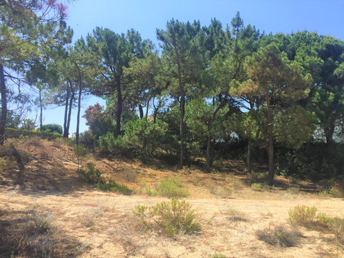 Fantastic, land plot For Villa Construction, Troia 1273496132