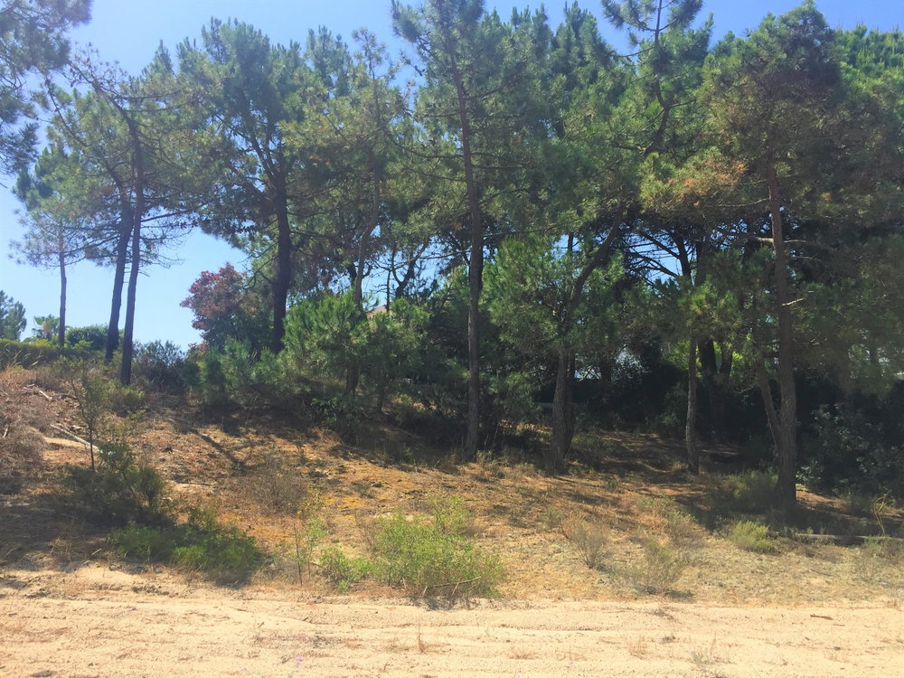 Fantastic, land plot For Villa Construction, Troia 1273496132