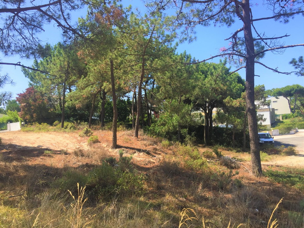 Fantastic, land plot For Villa Construction, Troia 1273496132