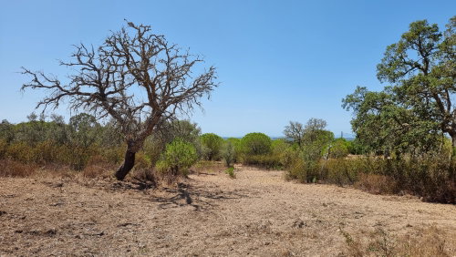 Country Side, Approved Project, Sobreiras Altas 2280382557