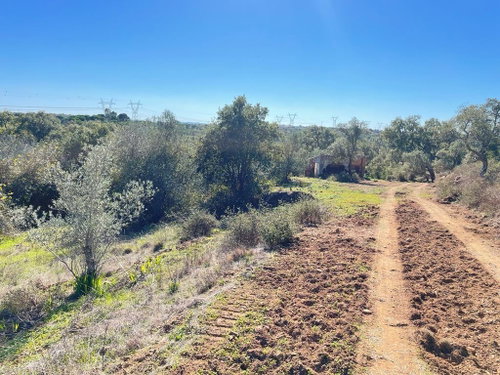 Wonderful, Land Plot for Villa Cosntruction, São Francisco da Serra, Melides 2504483998