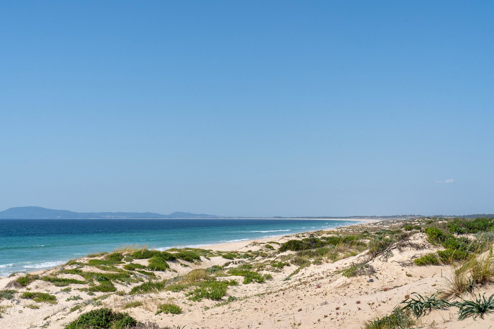 Casas da Colina, Land Plot, Pego, Comporta