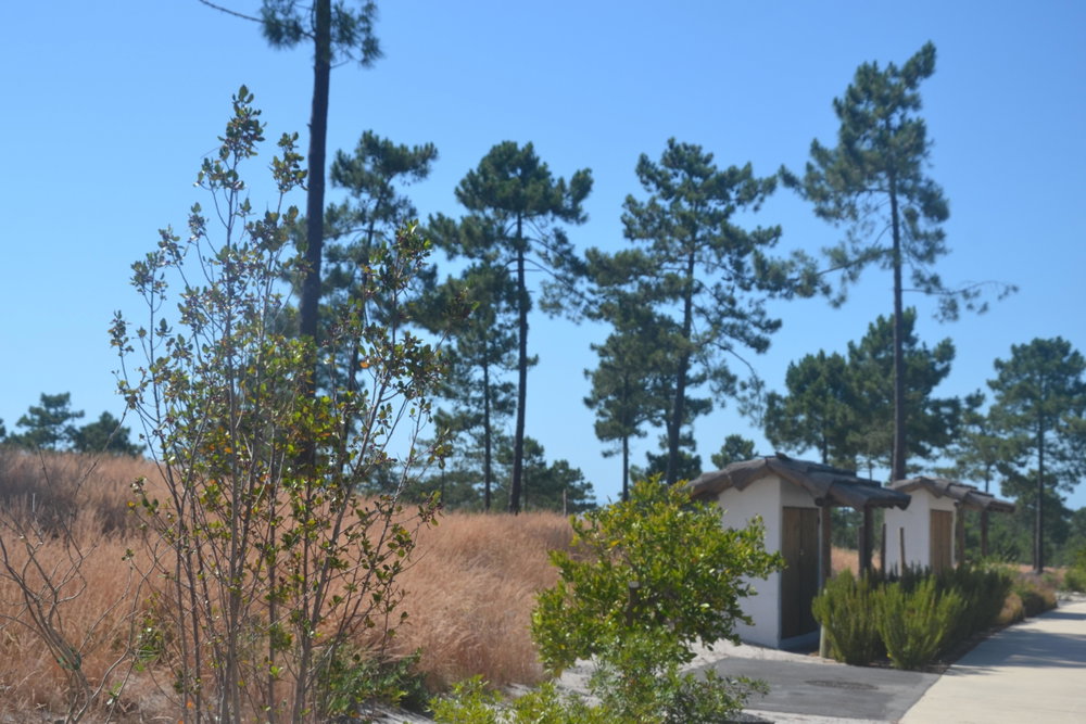 Casas da Colina, Land Plot, Pego, Comporta