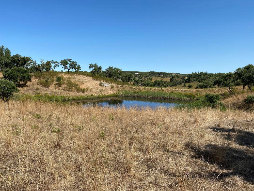 Excellent 15.6 hectares, Land Plot, Porto Covo, Alentejo