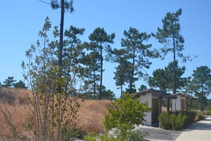 Fantastic Land Plot, Project Approved, Pego, Comporta
