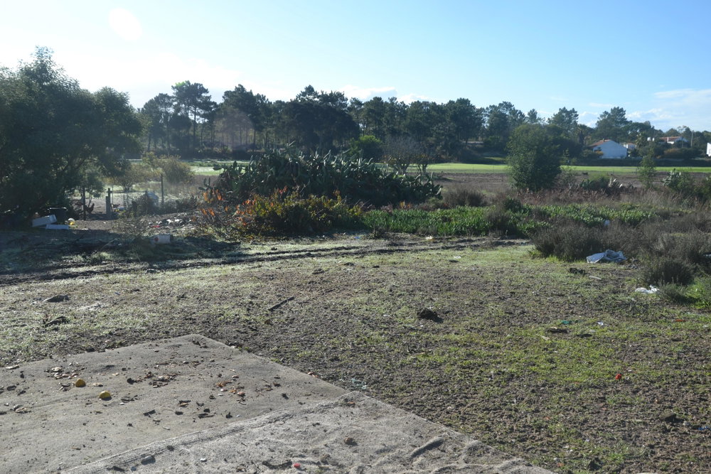 Amazing Land Plot with approved Project, Possanco, Comporta