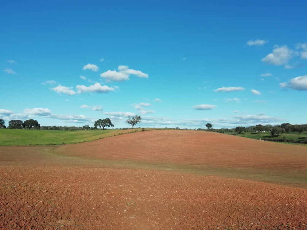 Excellent plot with approved project, Santiago do Cacém, Alentejo