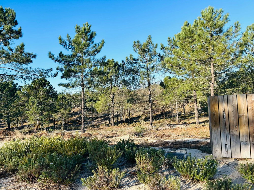 Wonderful, Land Plot for Villa Construction, Carvalhal, Comporta 968044160