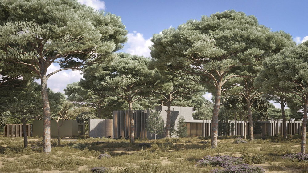 Extraordinary 9.15ha plot with approved project, Muda, Comporta 579834169