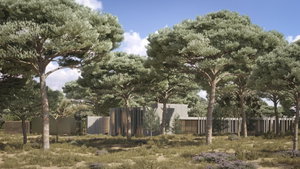 Extraordinary 9.15ha plot with approved project, Muda, Comporta 579834169