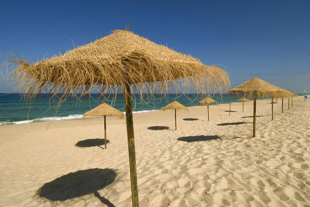 Investment opportunity, Land Plot , Comporta