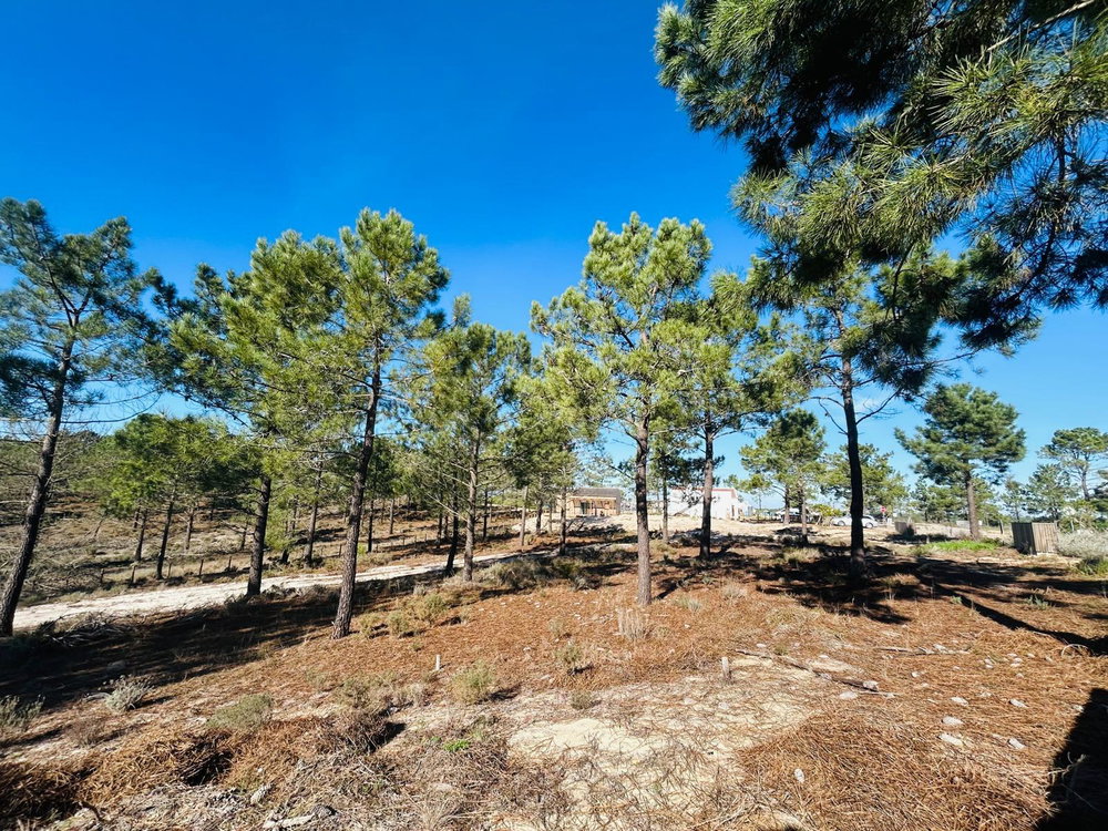 Superb, Plot of Land with Approved Project, Carvalhal, Comporta