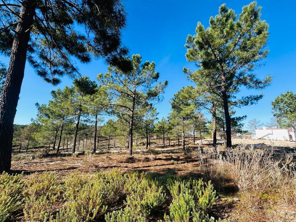 Superb, Plot of Land with Approved Project, Carvalhal, Comporta