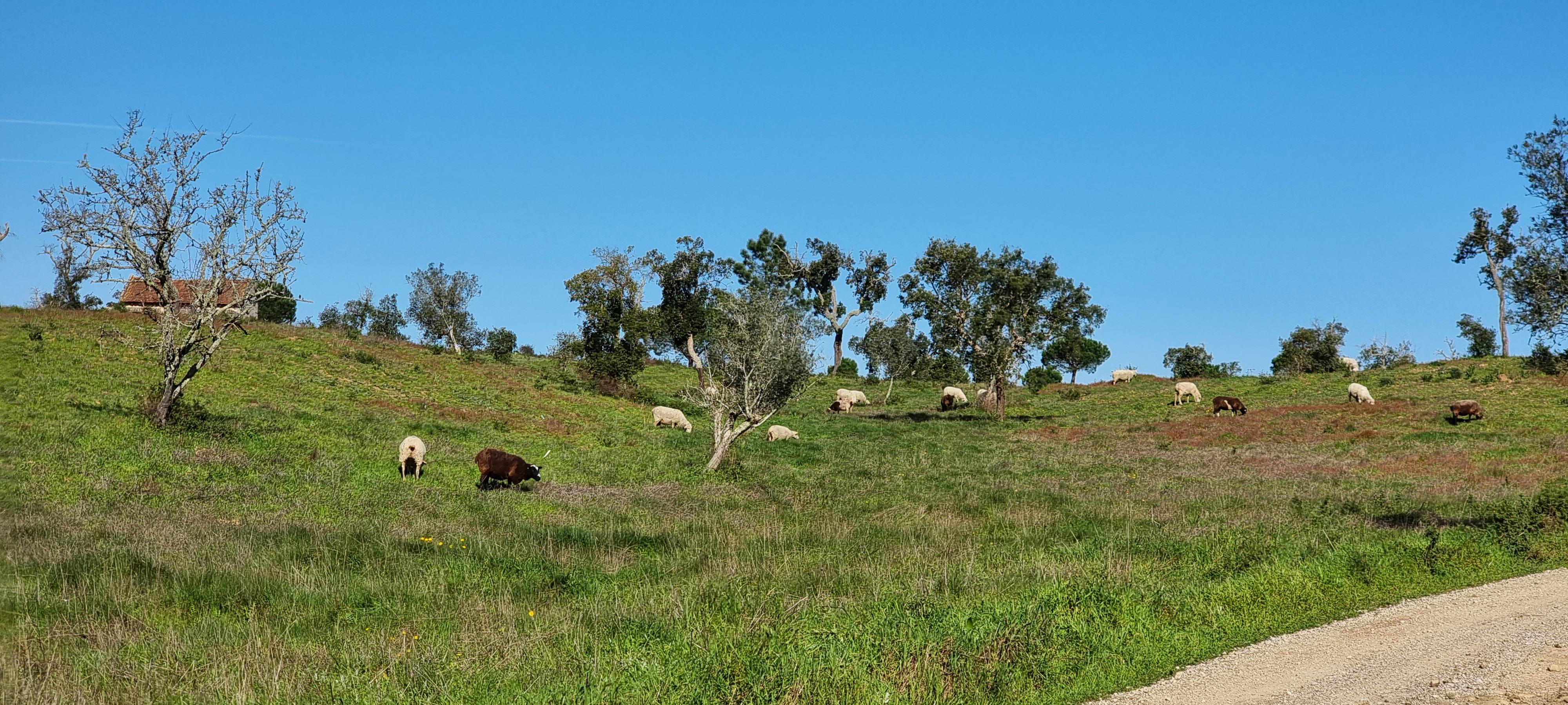 Property of 47.9 Hectares with Approved Agrotourism Project