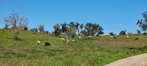 Property of 47.9 Hectares with Approved Agrotourism Project 1675074003