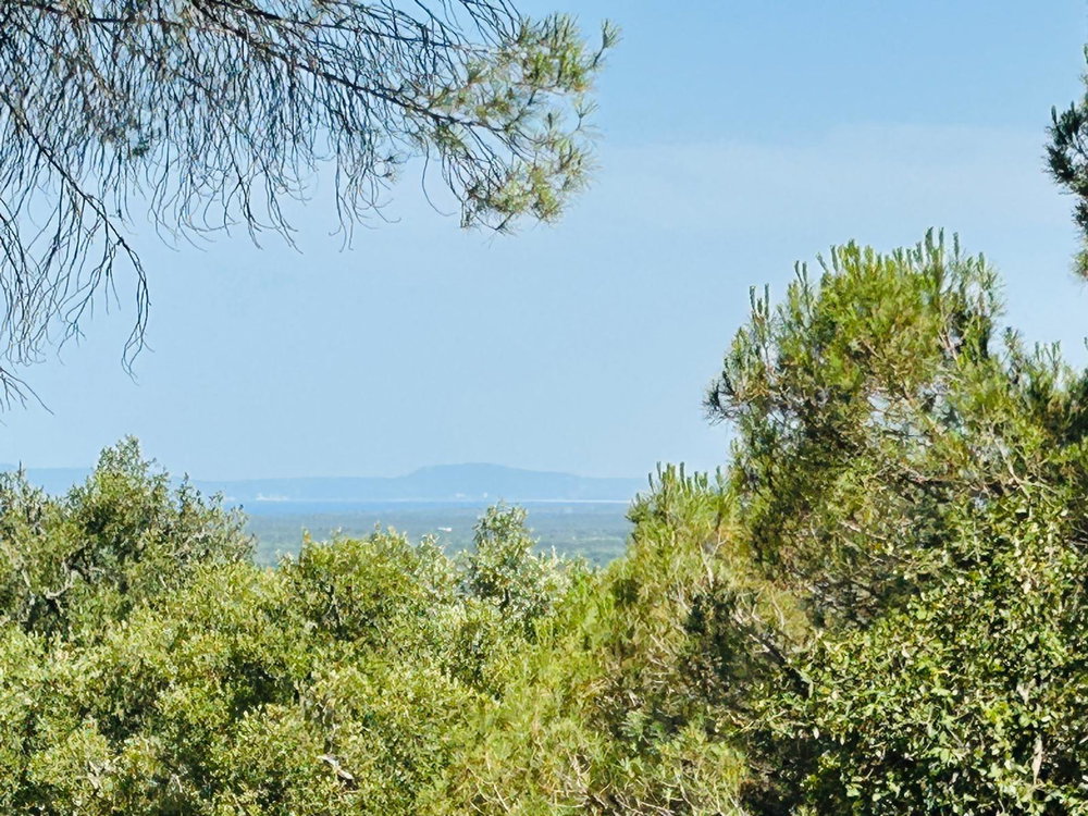 Land with Development Potential and Rural Tourism Opportunity, Melides 1429508357
