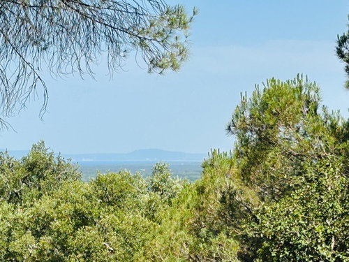 Land with Development Potential and Rural Tourism Opportunity, Melides 1429508357