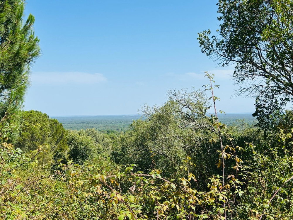 Land with Development Potential and Rural Tourism Opportunity, Melides 1429508357