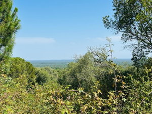 Land with Development Potential and Rural Tourism Opportunity, Melides 1429508357