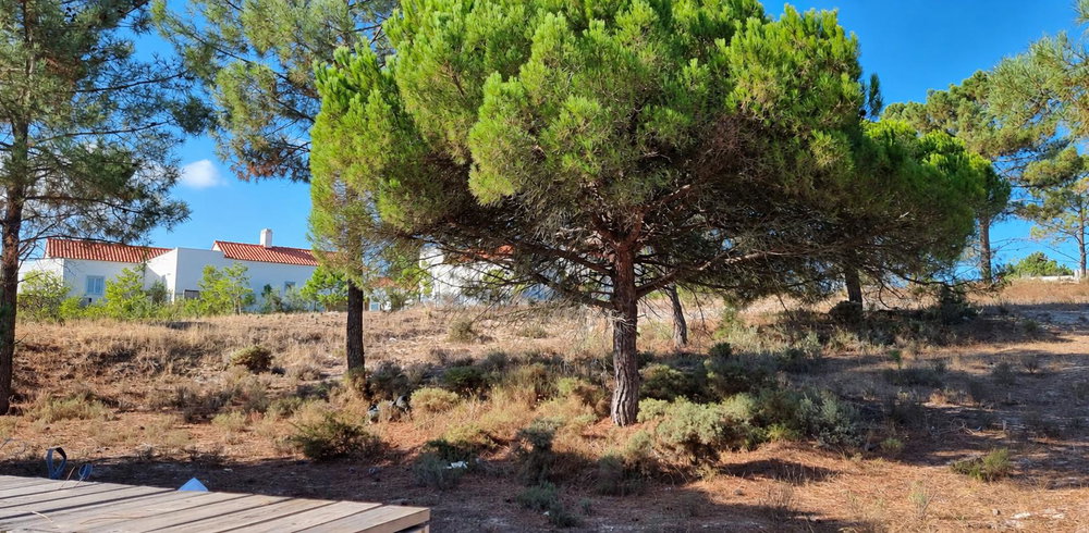 Exclusive Plot with Approved Project at La Réserve Comporta