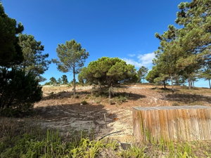 Exclusive Plot with Approved Project at La Réserve Comporta