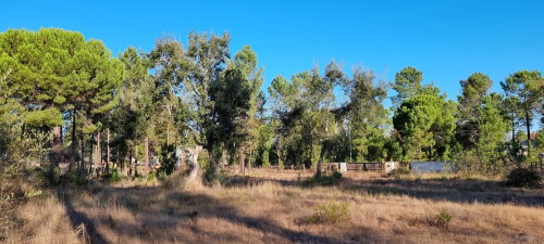 Exclusive Quinta Muda Reserve Estate, Comporta
