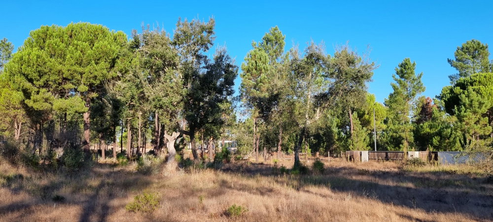 Exclusive Quinta Muda Reserve Estate, Comporta